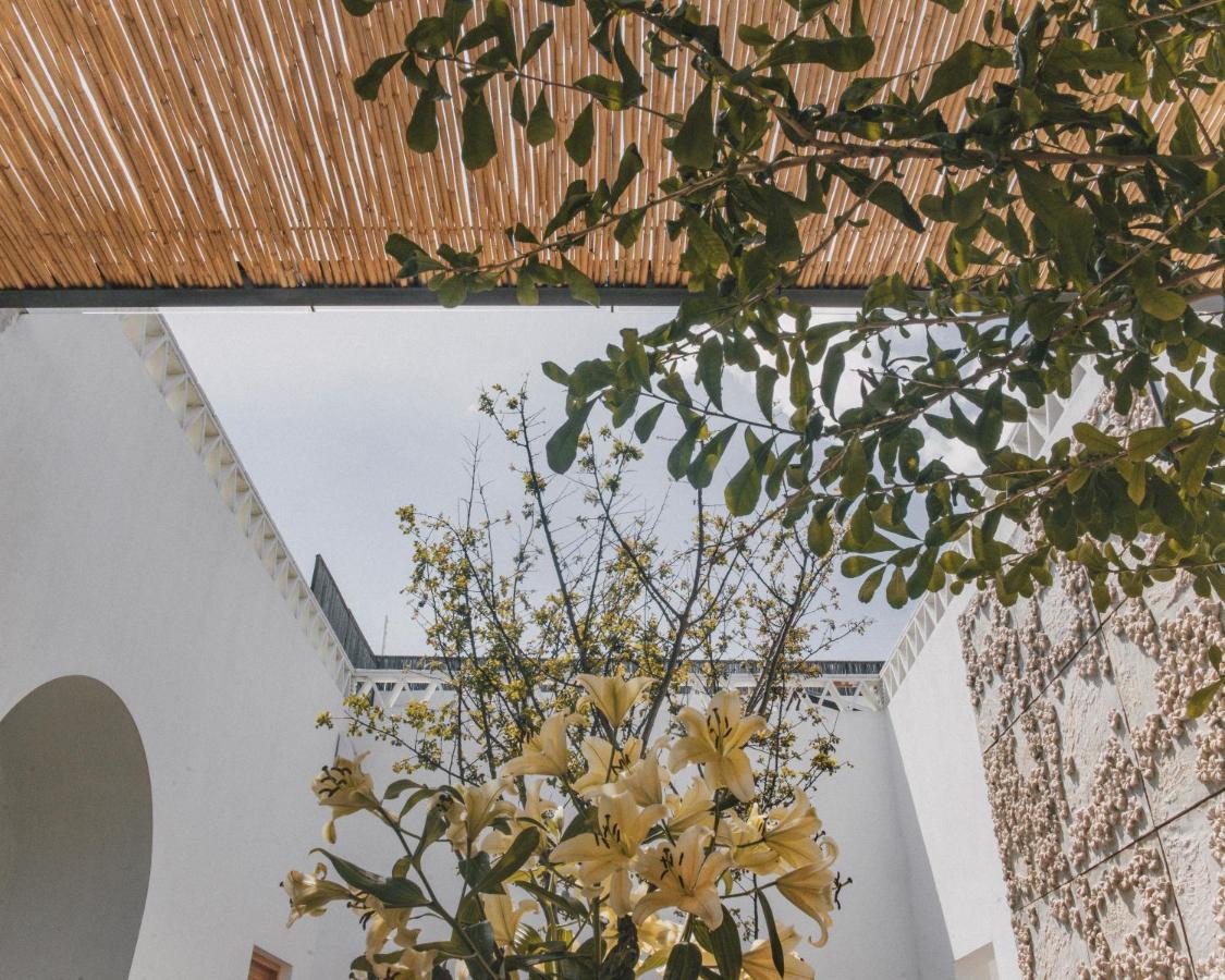 Casa Carmen Morelos Oaxaca Exterior photo