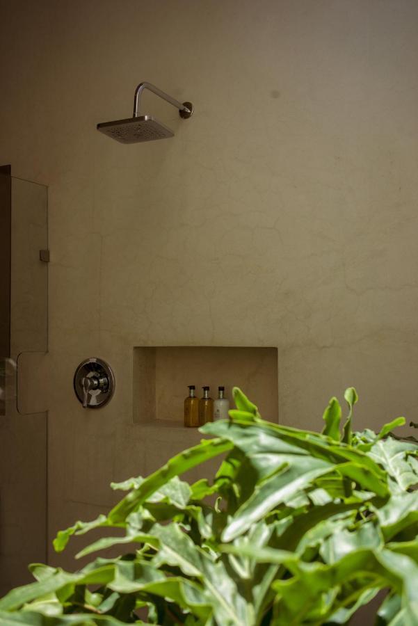 Casa Carmen Morelos Oaxaca Exterior photo
